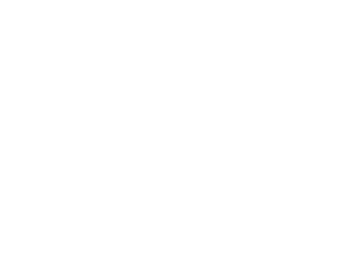 VK Performers Studio